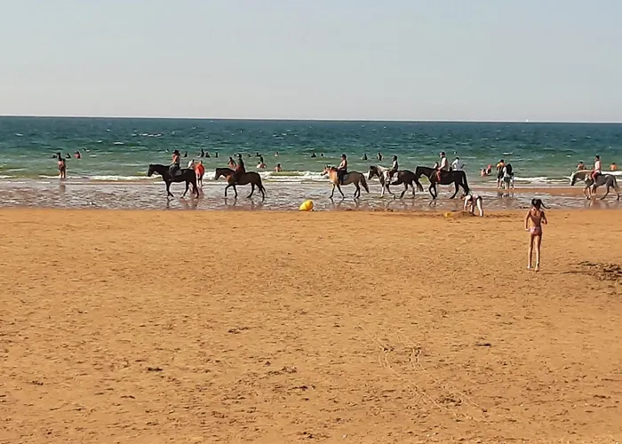 Lejlighed A La Sirene *