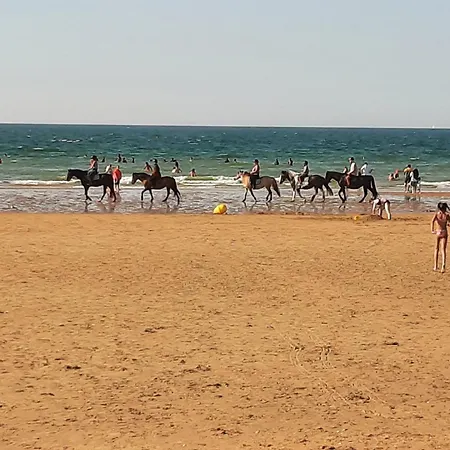 Appartement à La Sirene *